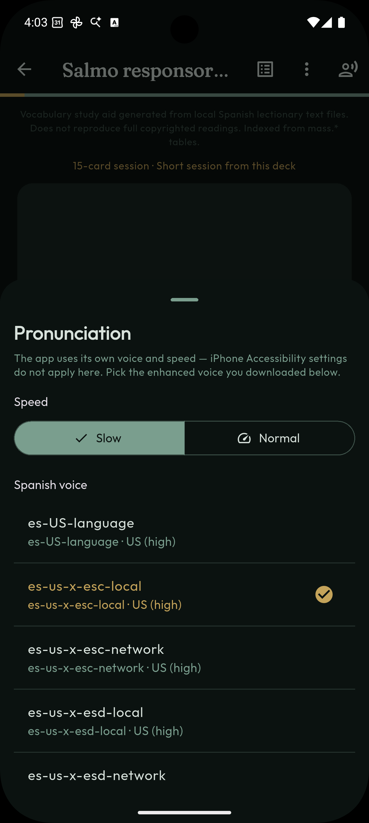 Pronunciation voice and speed settings